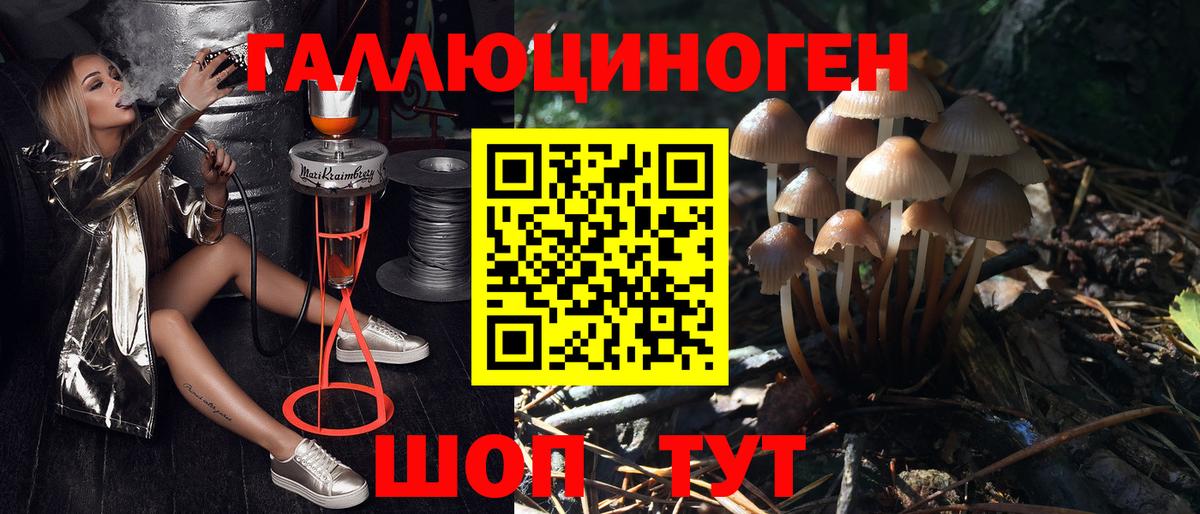 Галлюциногенные грибы Psilocybine cubensis  Галлюциногенные грибы мухоморы  Вход с VPN  Южно-Сахалинск 
